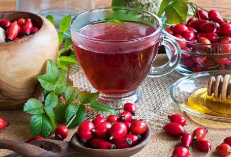 Dzika róża – owoc o naturalnych właściwościach zdrowotnych